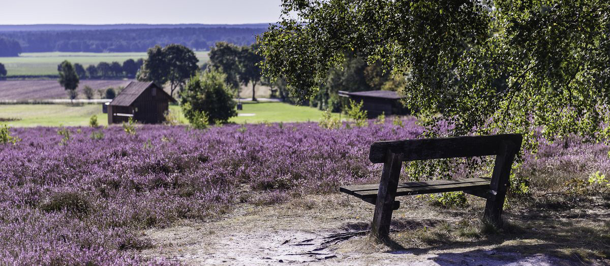 Ferienwohnung Lüneburger Heide