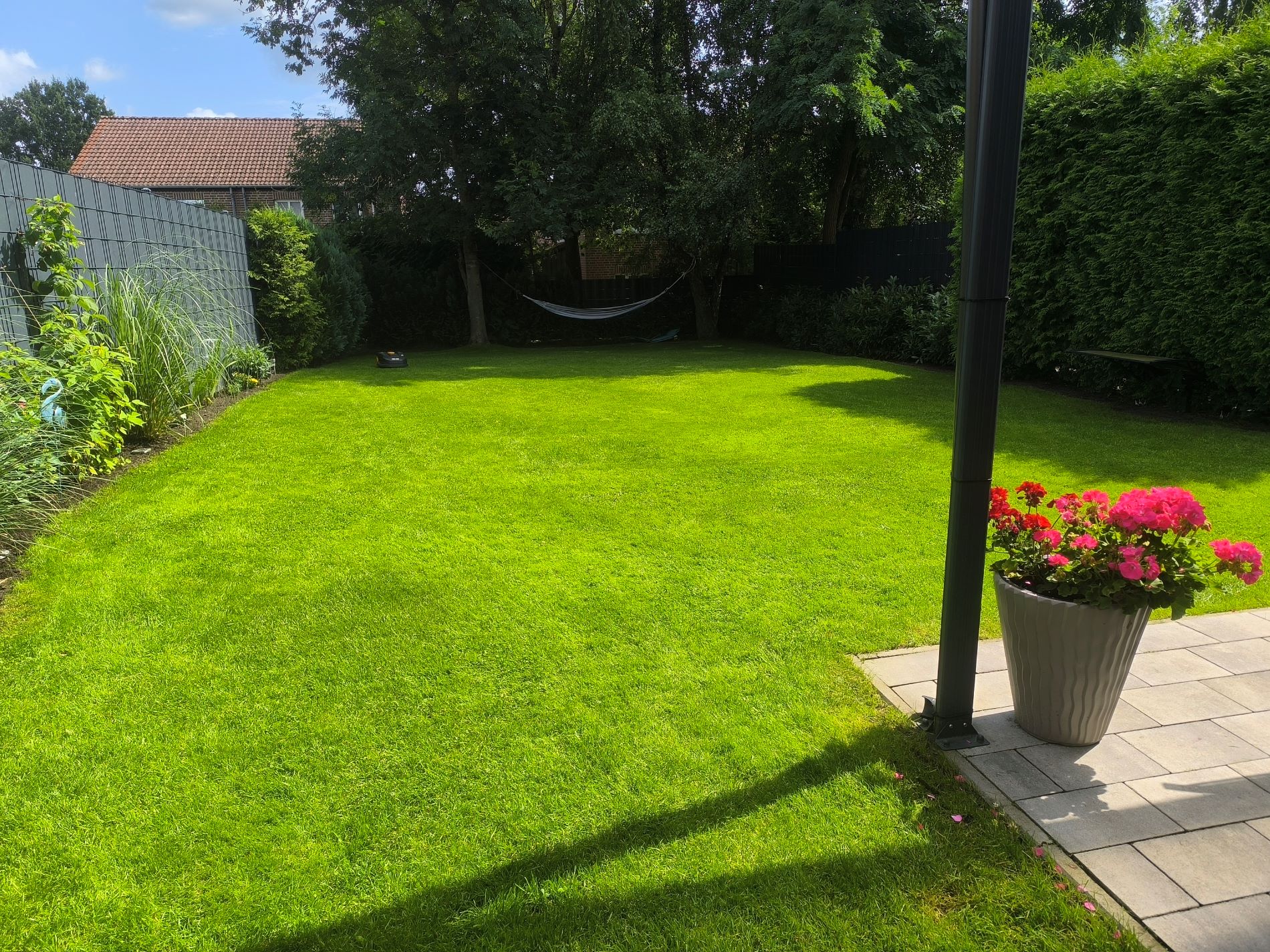 Garten im Sommer