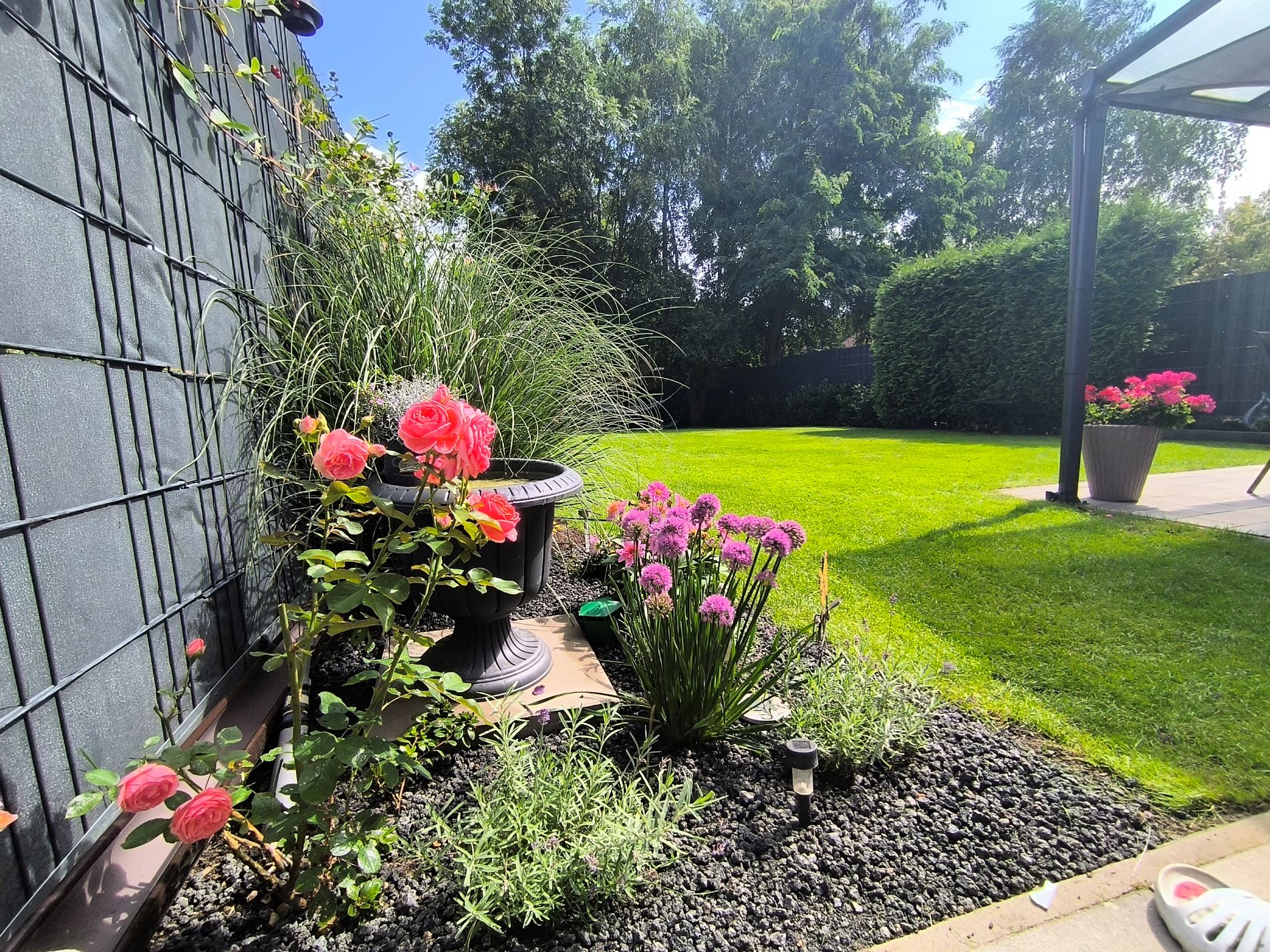 Garten mit Haengematte